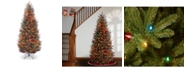 National Tree Company National Tree 6.5' Natural Fraser Slim Fir Tree with 450 Multicolor Lights